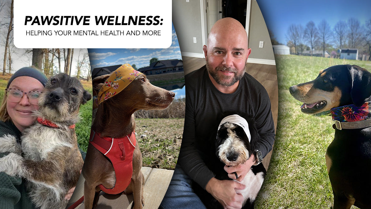 Text reads Pawsitive Wellness: Helping your mental health and more then there are four images of dogs and owners