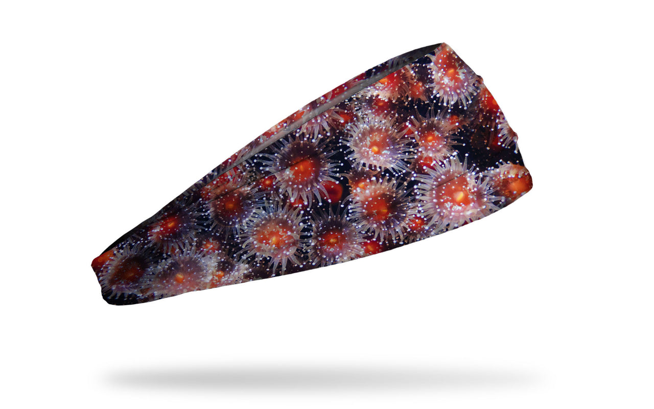 Artful Anemone Big Bang Lite Headband - View 2
