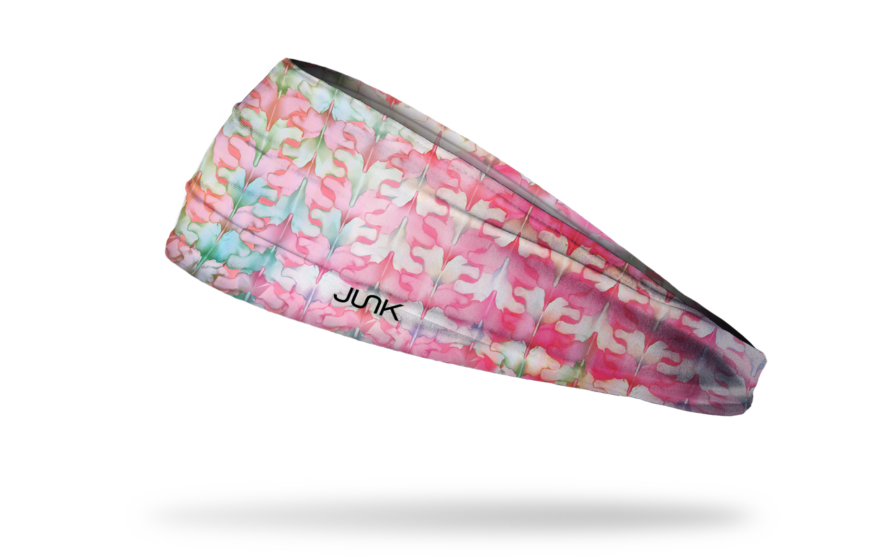 Dr. Betsy Grunch: Vibrant Vertebrae Headband - View 1