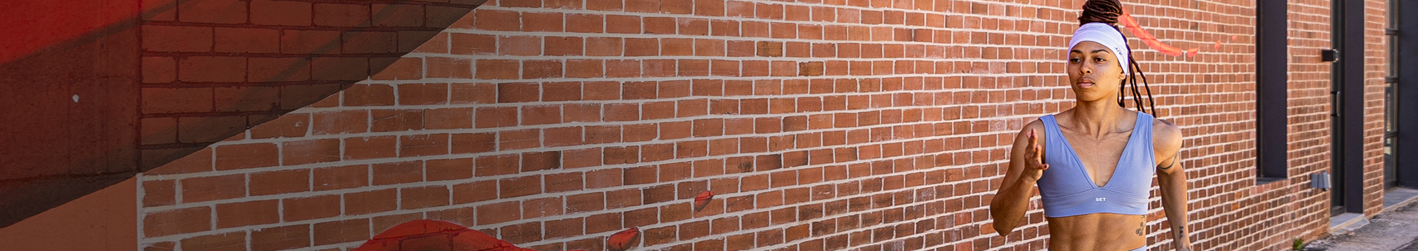 Banner image