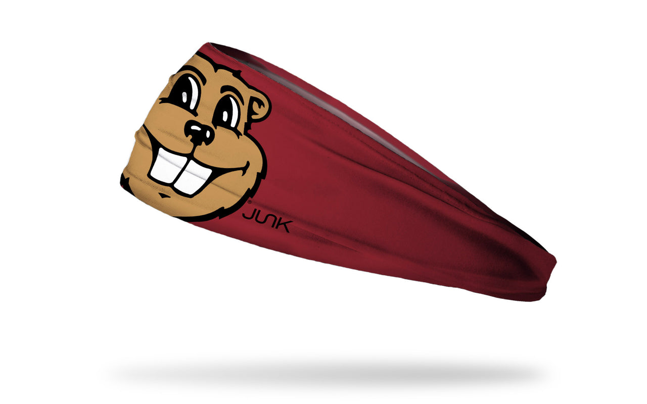 University of Minnesota: Goldy Headband - View 1