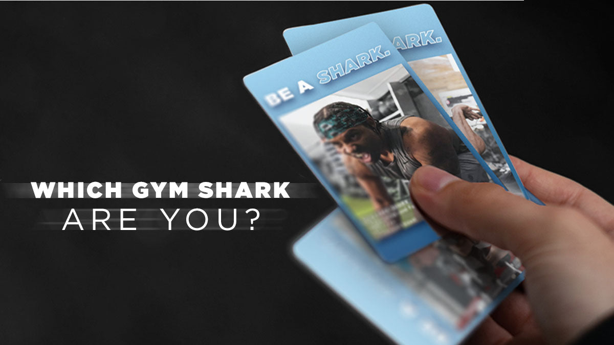 Three cards that show the images from the blog and say “be a shark” the text over the black background says “which shark are you?”  