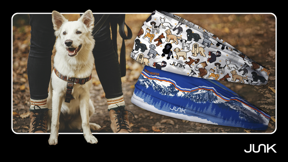 Best Breed of Dog for Hiking: Your Ultimate Trail Companion Guide