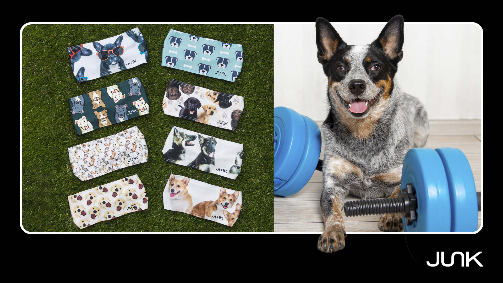 Exercises You Can Do With Your Dog: Turn Your Pup Into Your Perfect Workout Partner