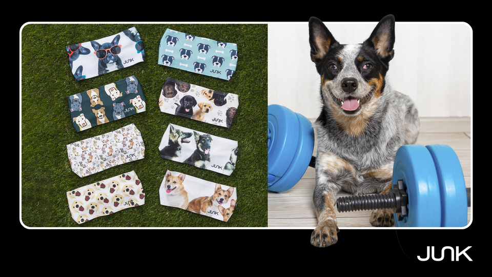Exercises You Can Do With Your Dog: Turn Your Pup Into Your Perfect Workout Partner