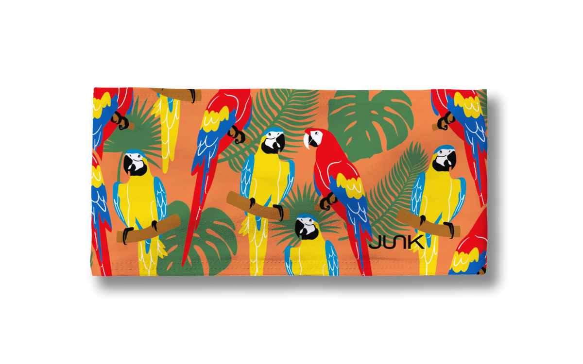 Bird Shirts Big Bang Lite Headband - View 3