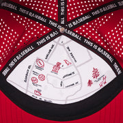 University of Arkansas: Baseball Apex Hat Cardinal - View 7