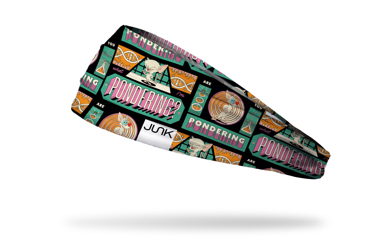Anamaniacs: Pondering Big Bang Lite Headband - View 1