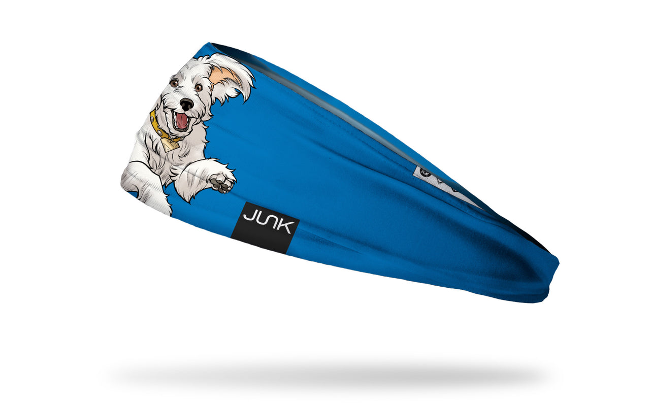 Superman: Krypto Dog Big Bang Lite Headband - View 2