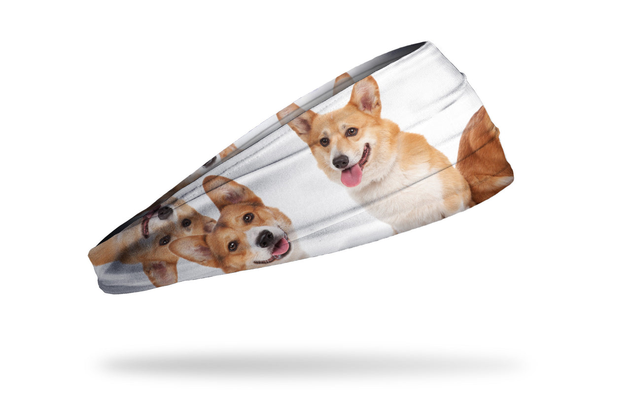 Corgistan Headband - View 2