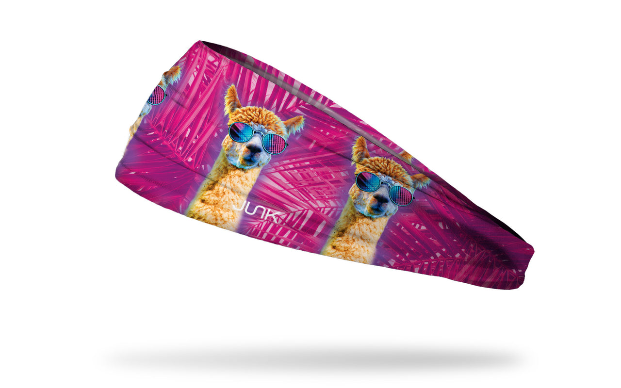 Laidback Llama Headband - View 1