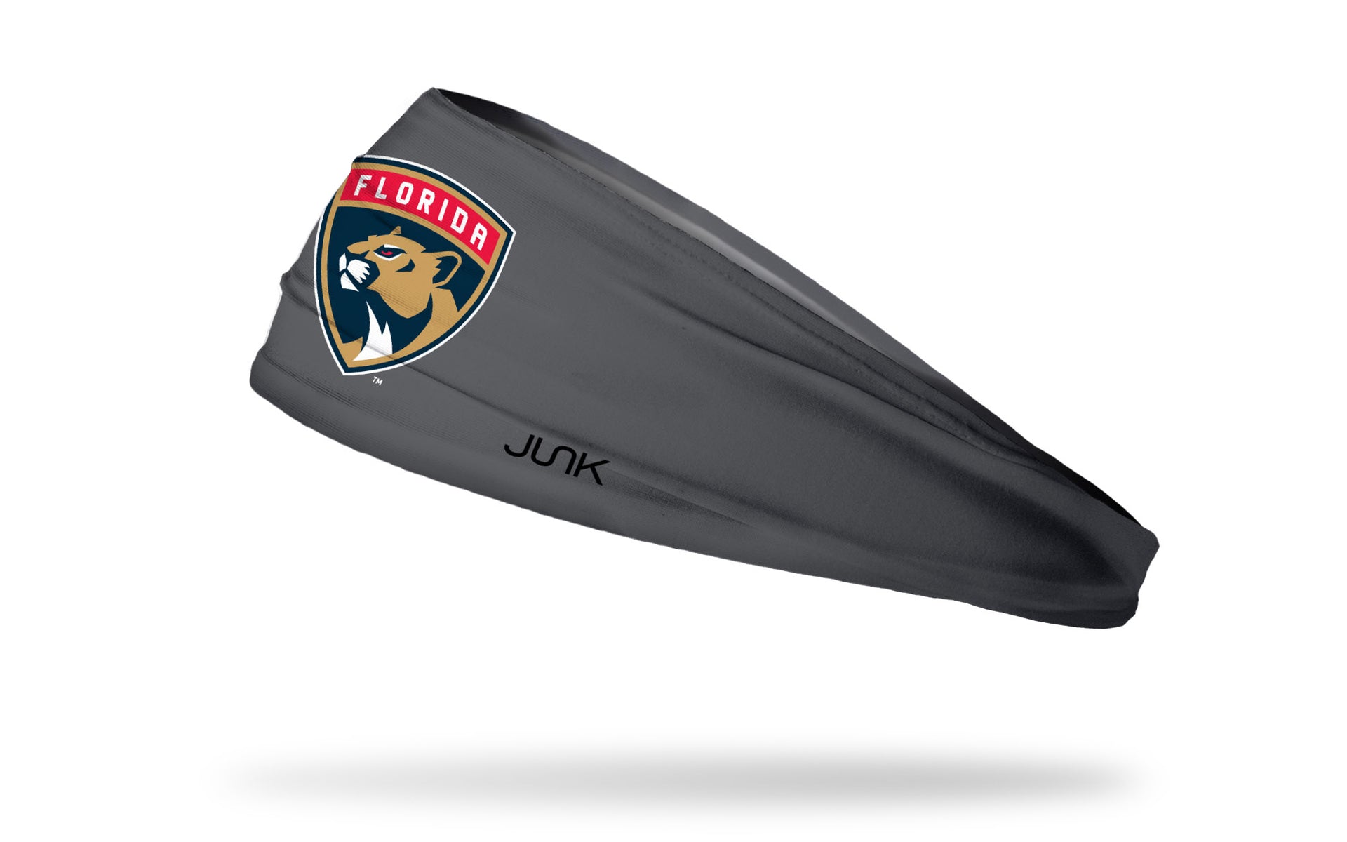 Florida Panthers: Logo Gray Headband - View 1
